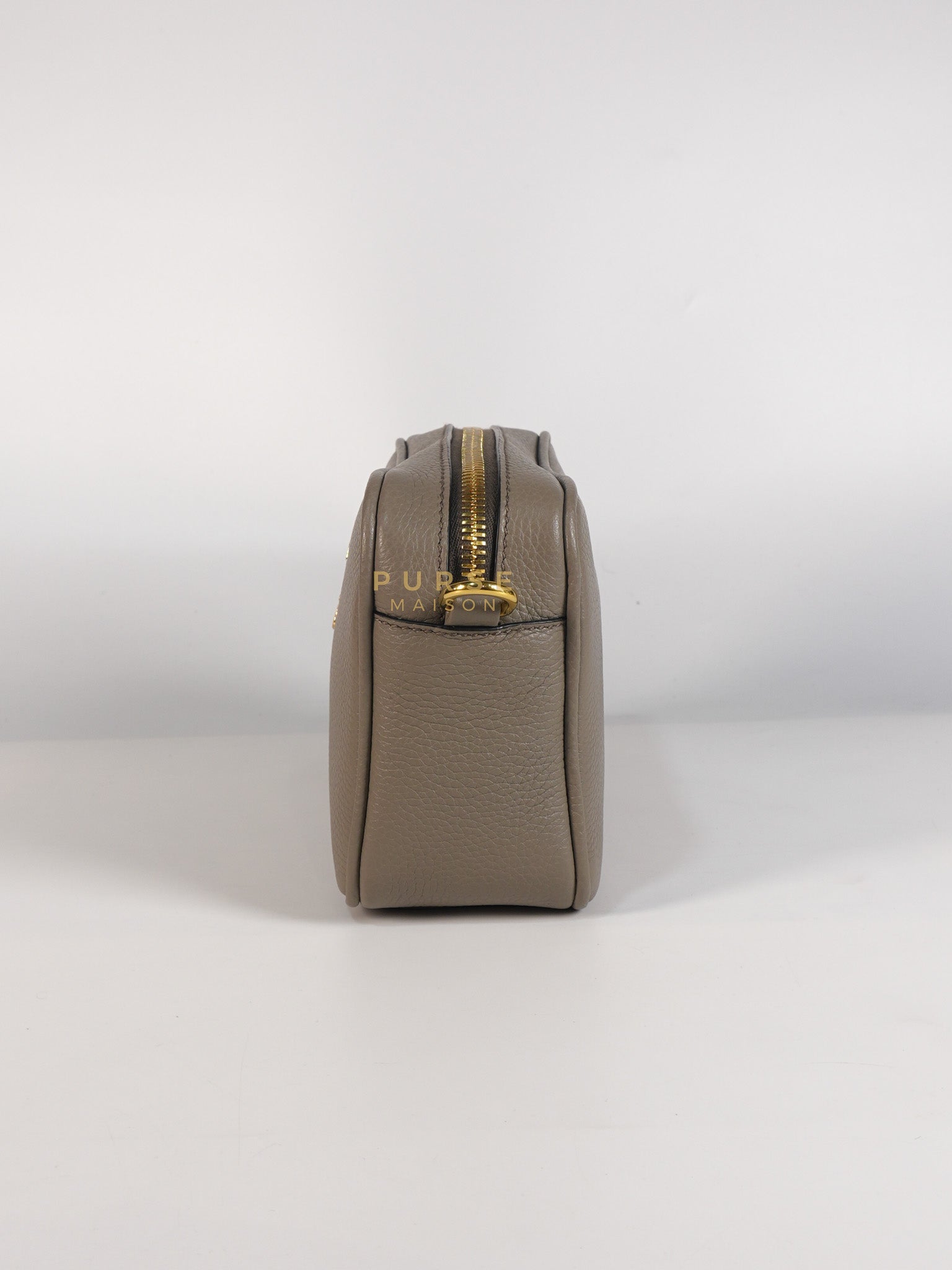 Vitello Phoenix Camera Bag in Gray Calfskin Leather & Gold Hardware | Purse Maison Luxury Bags Shop