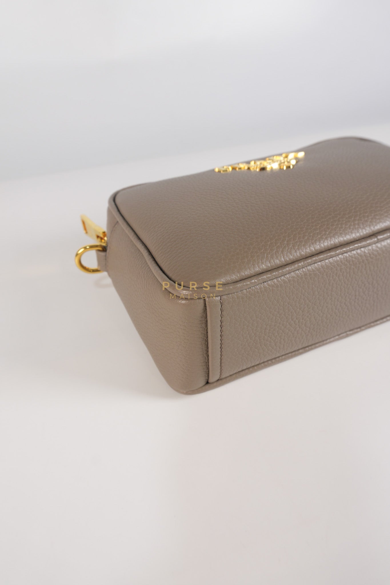Vitello Phoenix Camera Bag in Gray Calfskin Leather & Gold Hardware | Purse Maison Luxury Bags Shop