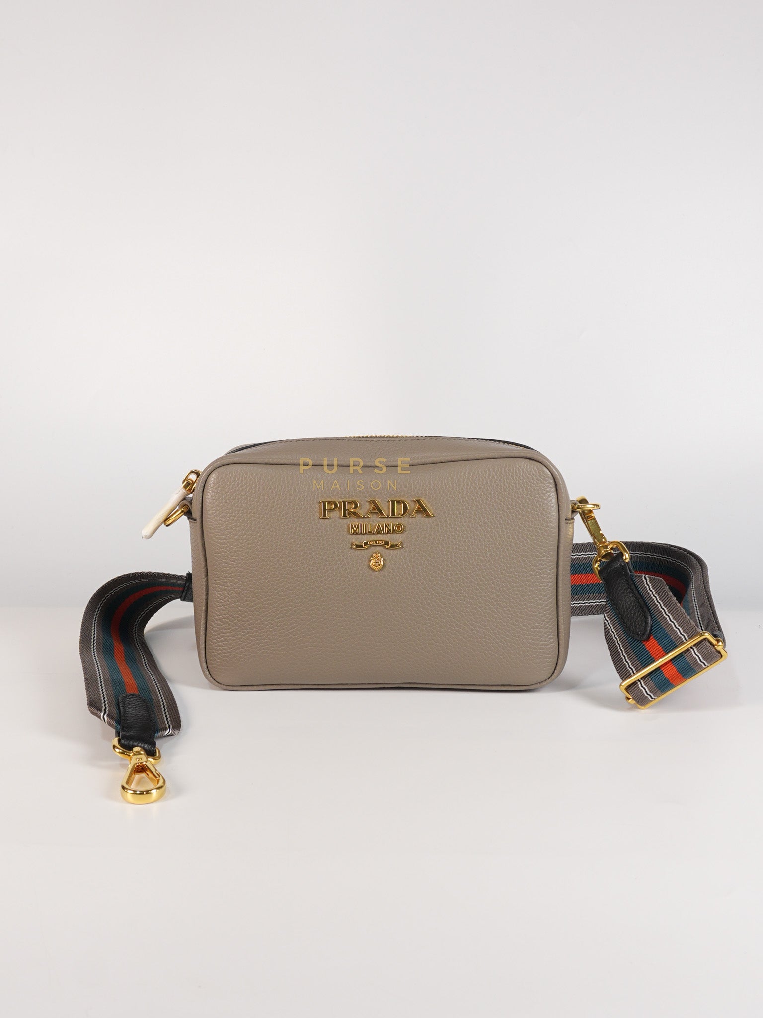 Vitello Phoenix Camera Bag in Gray Calfskin Leather & Gold Hardware | Purse Maison Luxury Bags Shop