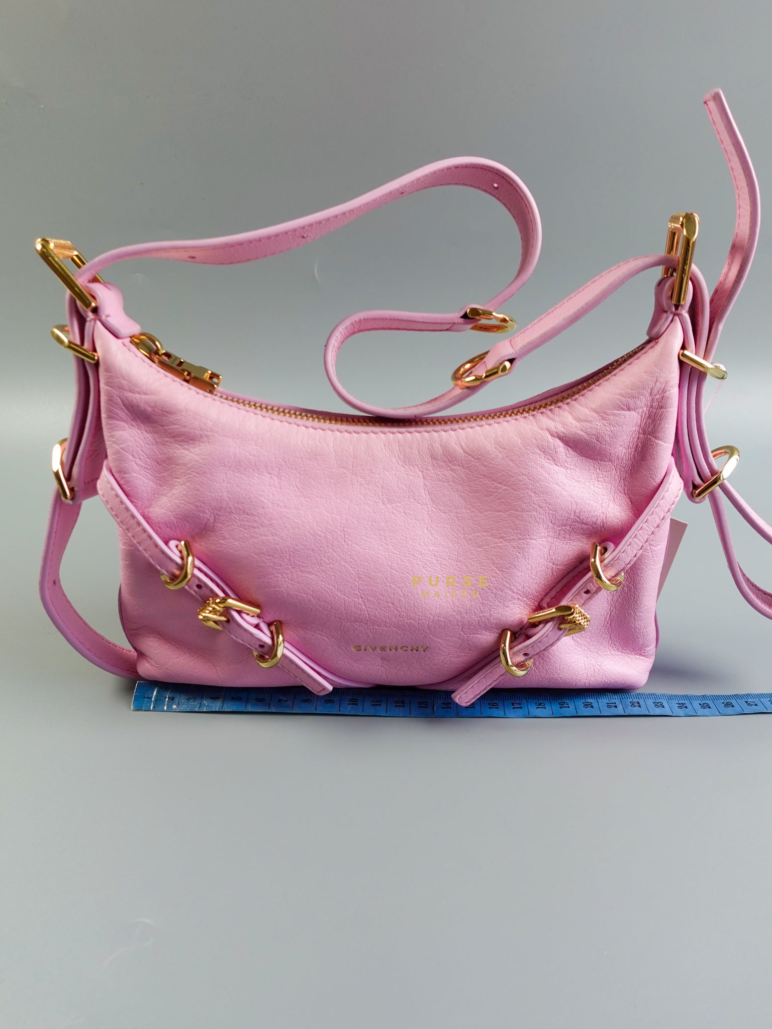 Voyou Mini in Pink Leather & Gold Hardware Bag | Purse Maison Luxury Bags Shop
