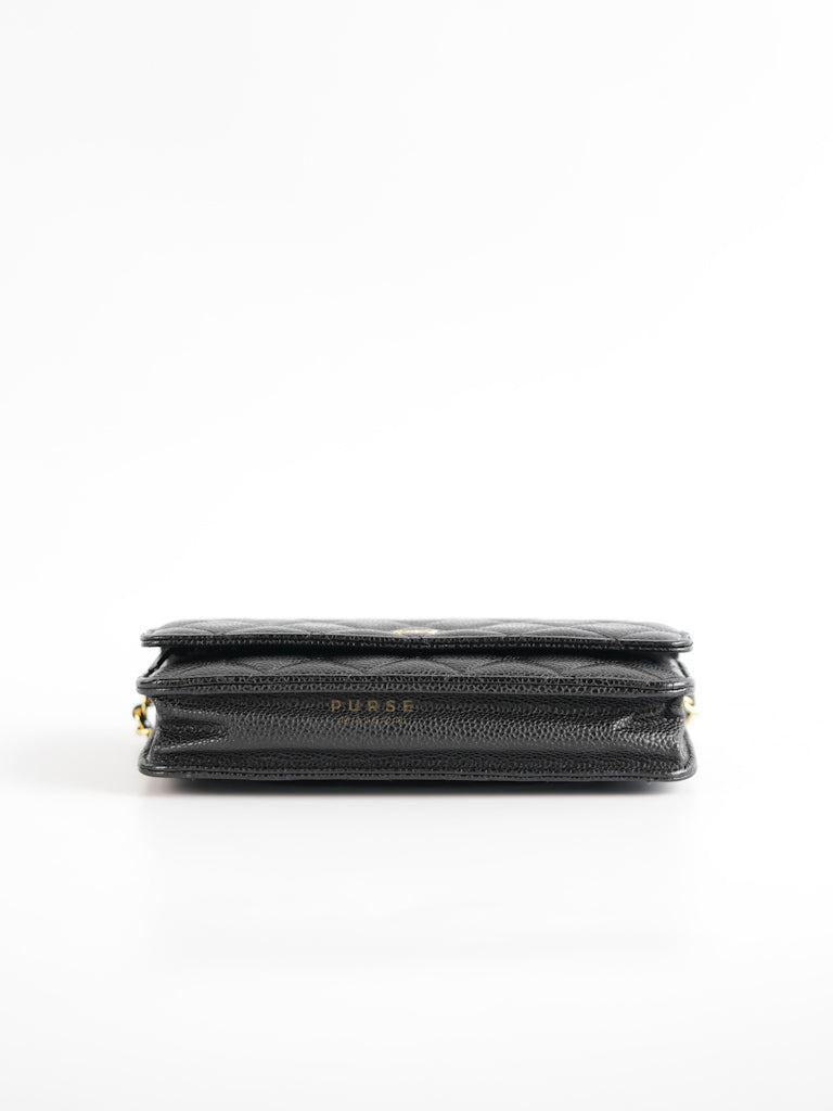 Wallet on Chain WOC Black Caviar Leather in Gold Hardware Series 18 | Purse Maison Luxury Bags Shop