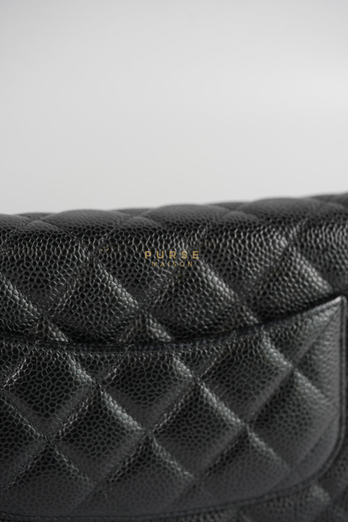 Wallet on Chain (WOC) in Black Quilted Caviar Leather & Gold Hardware Series 28 | Purse Maison Luxury Bags Shop