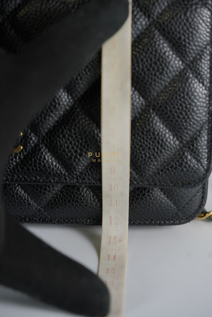 Wallet on Chain (WOC) in Black Quilted Caviar Leather & Gold Hardware Series 28 | Purse Maison Luxury Bags Shop
