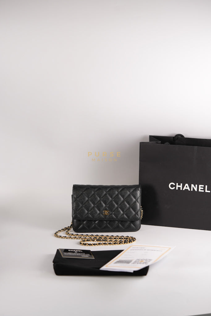 Wallet on Chain (WOC) in Black Quilted Caviar Leather & Gold Hardware Series 28 | Purse Maison Luxury Bags Shop