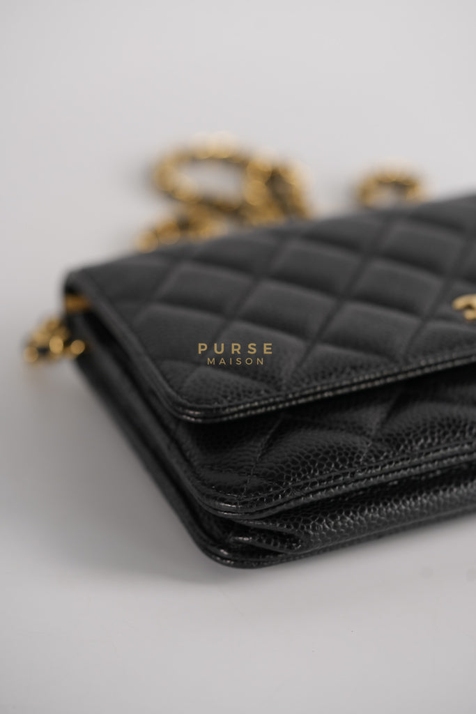 Wallet on Chain (WOC) in Black Quilted Caviar Leather & Gold Hardware Series 28 | Purse Maison Luxury Bags Shop