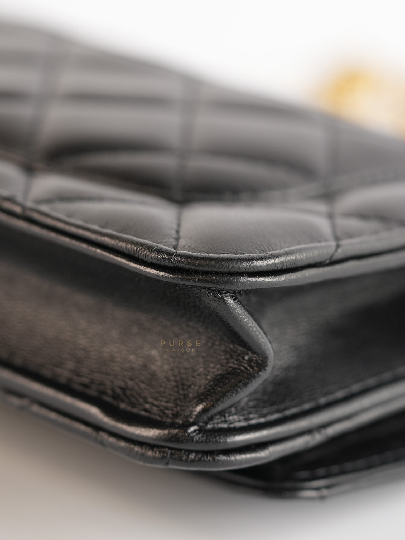 Wallet On Chain (WOC) in Camelia Adjusting Buckle in Aged Gold Hardware (Microchip) | Purse Maison Luxury Bags Shop