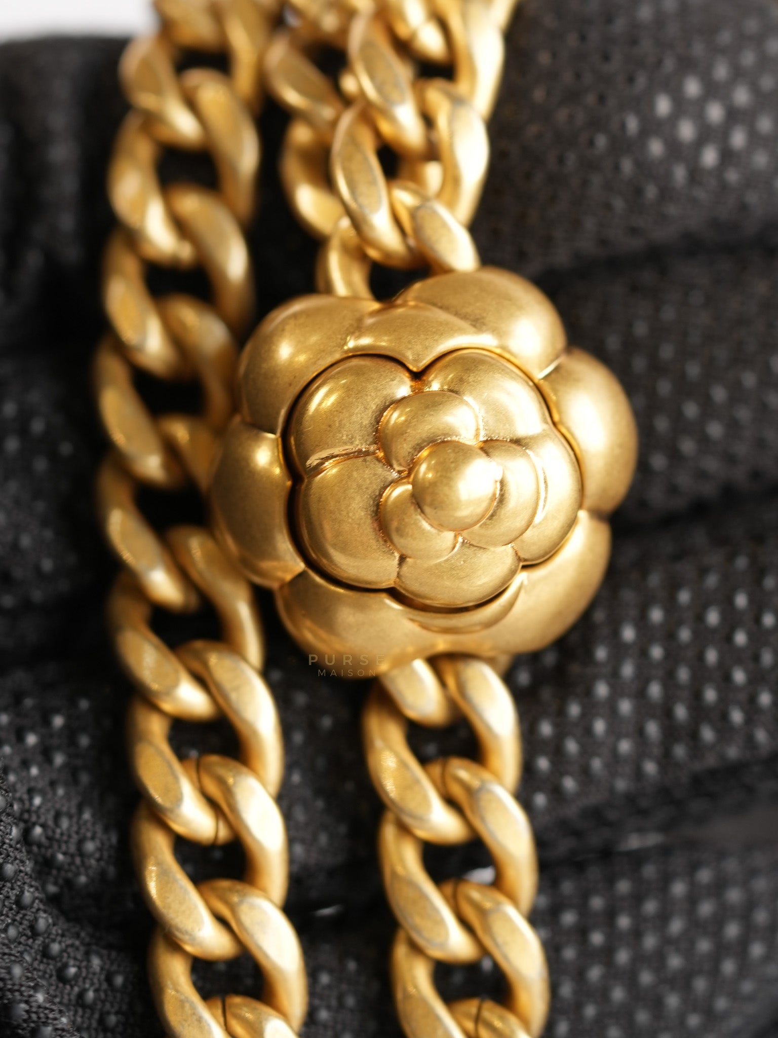 Wallet On Chain (WOC) in Camelia Adjusting Buckle in Aged Gold Hardware (Microchip) | Purse Maison Luxury Bags Shop