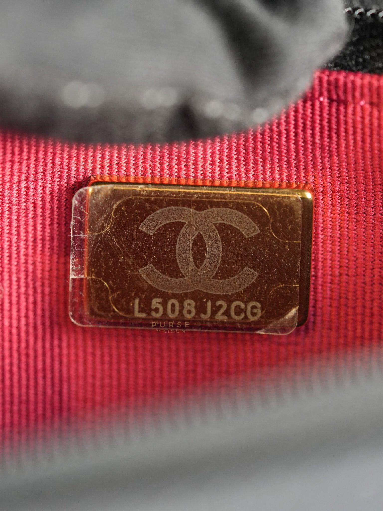 Wallet On Chain (WOC) in Camelia Adjusting Buckle in Aged Gold Hardware (Microchip) | Purse Maison Luxury Bags Shop