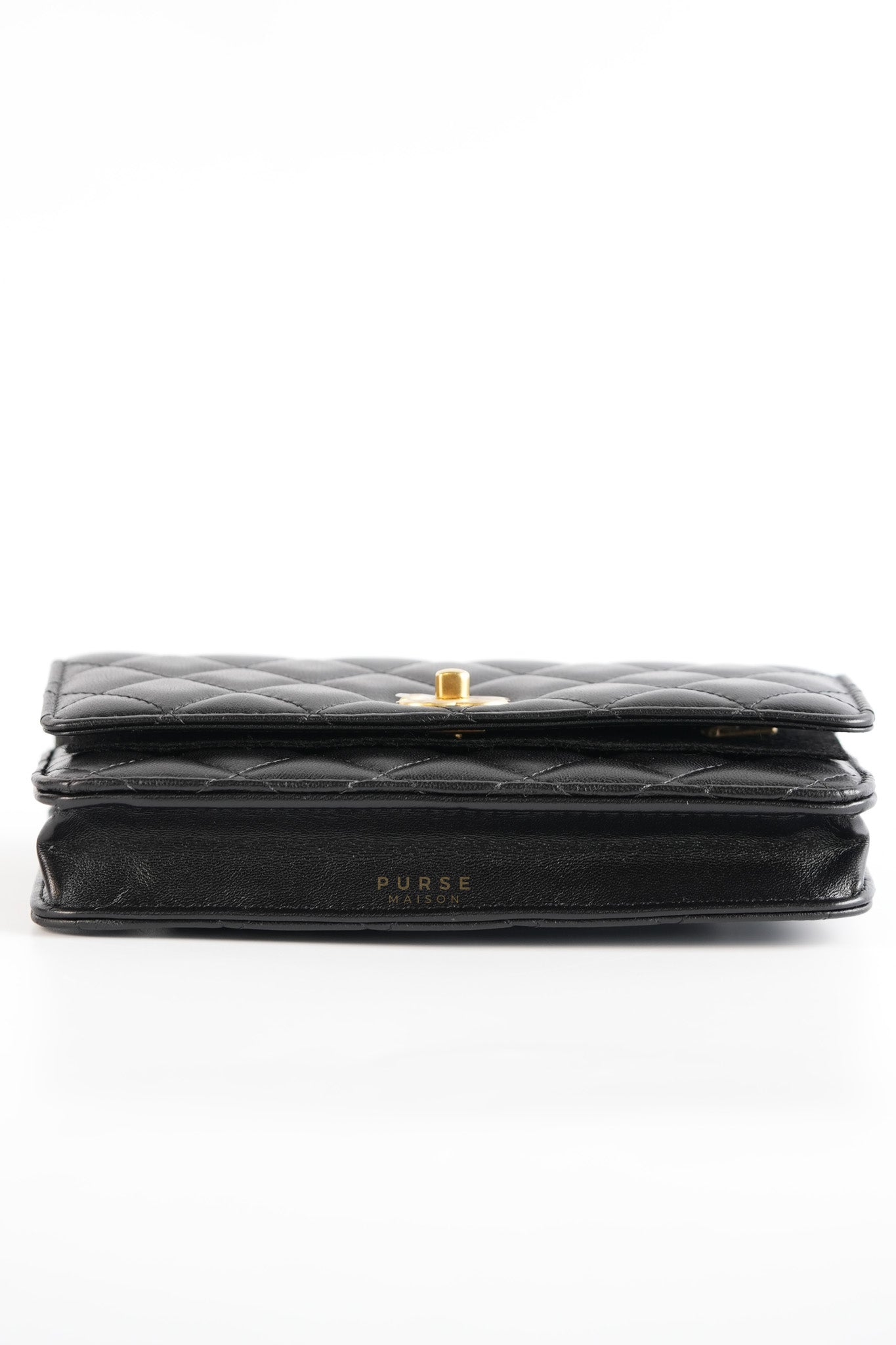 Wallet On Chain (WOC) in Camelia Adjusting Buckle in Aged Gold Hardware (Microchip) | Purse Maison Luxury Bags Shop