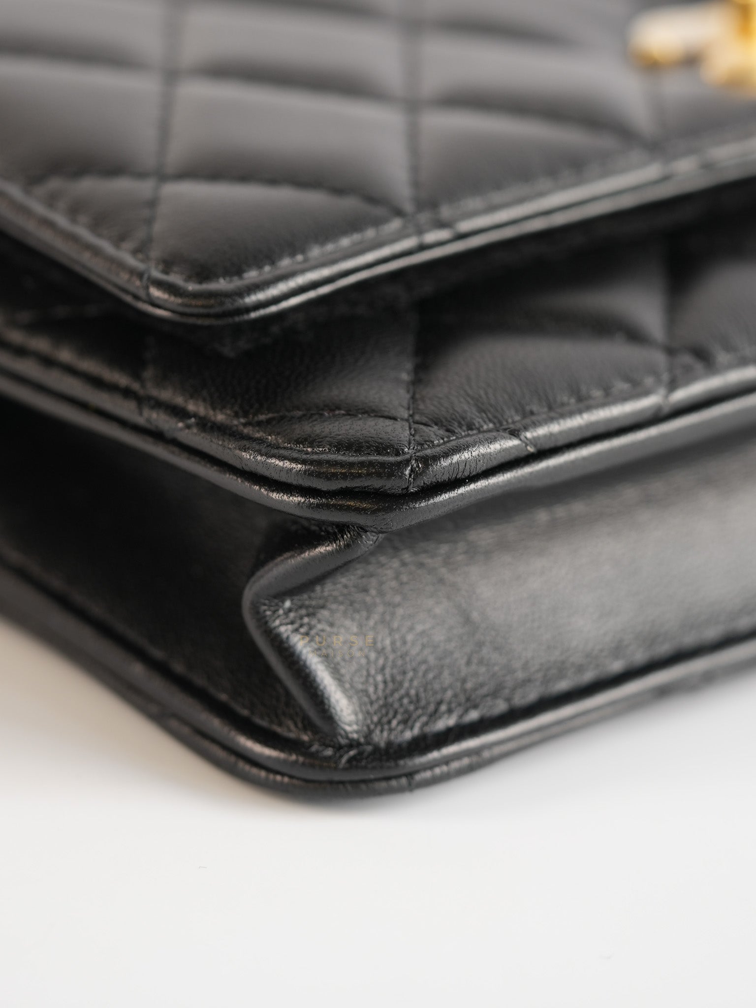 Wallet On Chain (WOC) in Camelia Adjusting Buckle in Aged Gold Hardware (Microchip) | Purse Maison Luxury Bags Shop