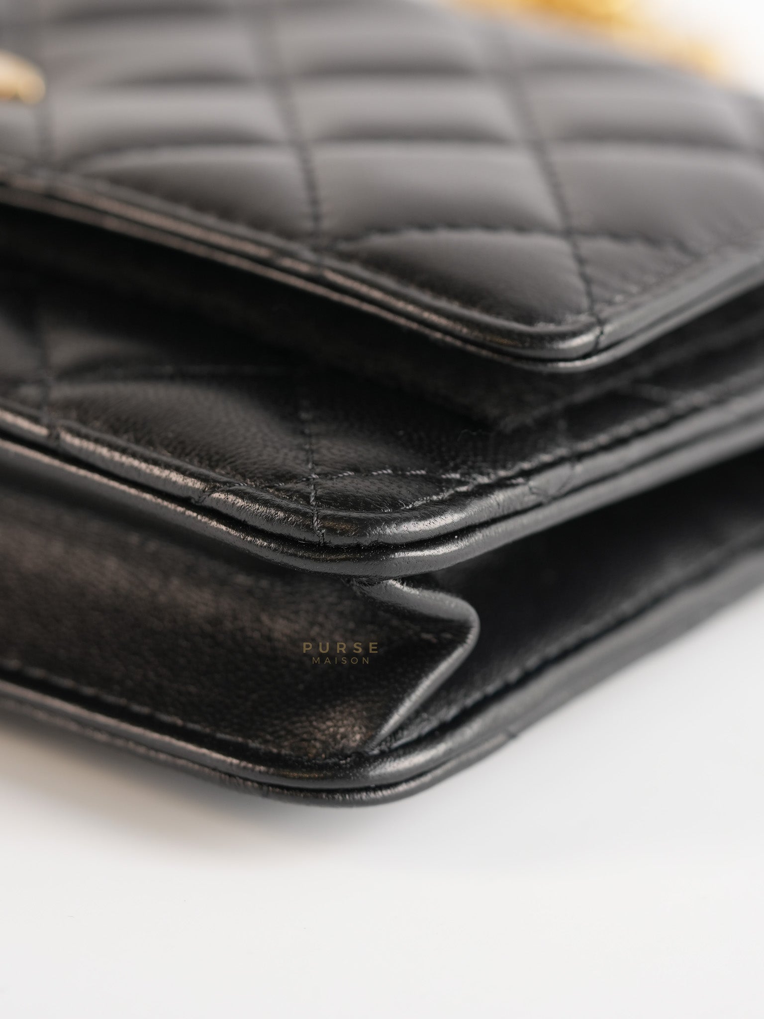 Wallet On Chain (WOC) in Camelia Adjusting Buckle in Aged Gold Hardware (Microchip) | Purse Maison Luxury Bags Shop