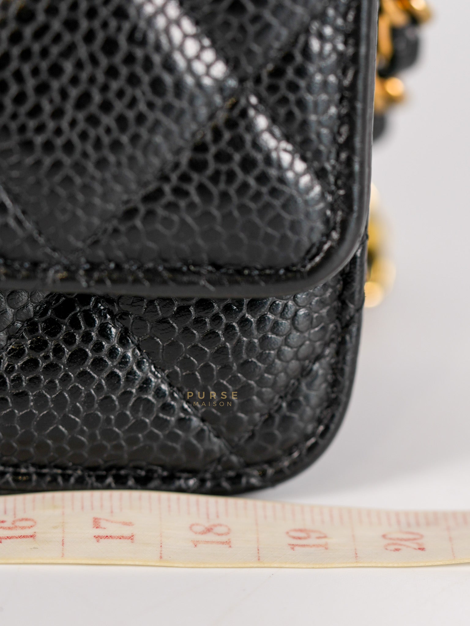 Wallet on Chain(WOC) in Black Quilted Caviar Leather & Gold Hardware Microchip(2022) | Purse Maison Luxury Bags Shop