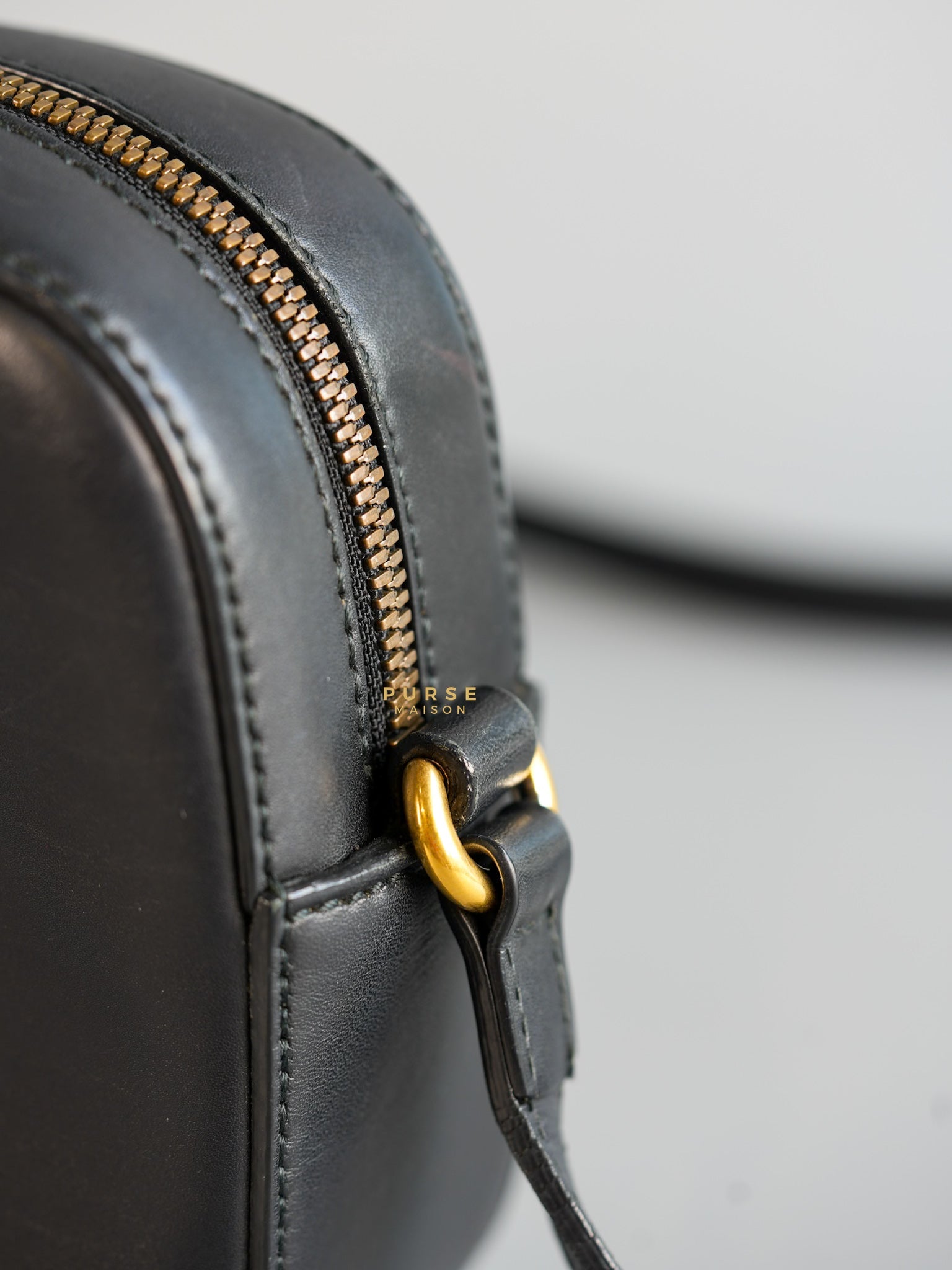 Webby Bee Leather Crossbody Bag | Purse Maison Luxury Bags Shop