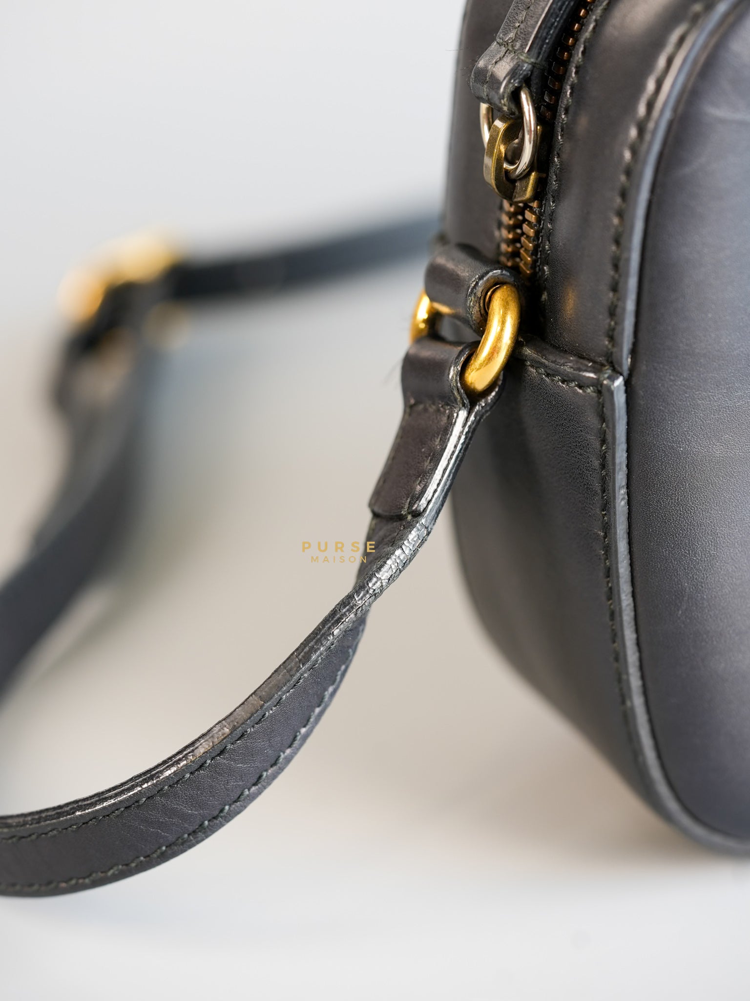 Webby Bee Leather Crossbody Bag | Purse Maison Luxury Bags Shop