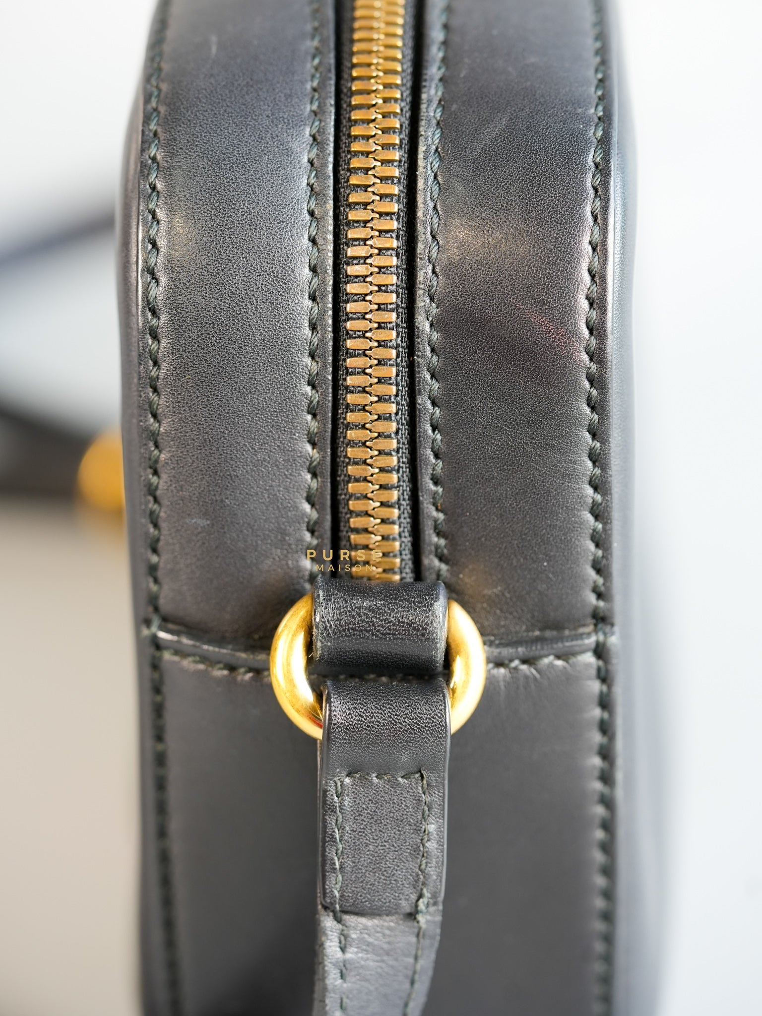 Webby Bee Leather Crossbody Bag | Purse Maison Luxury Bags Shop