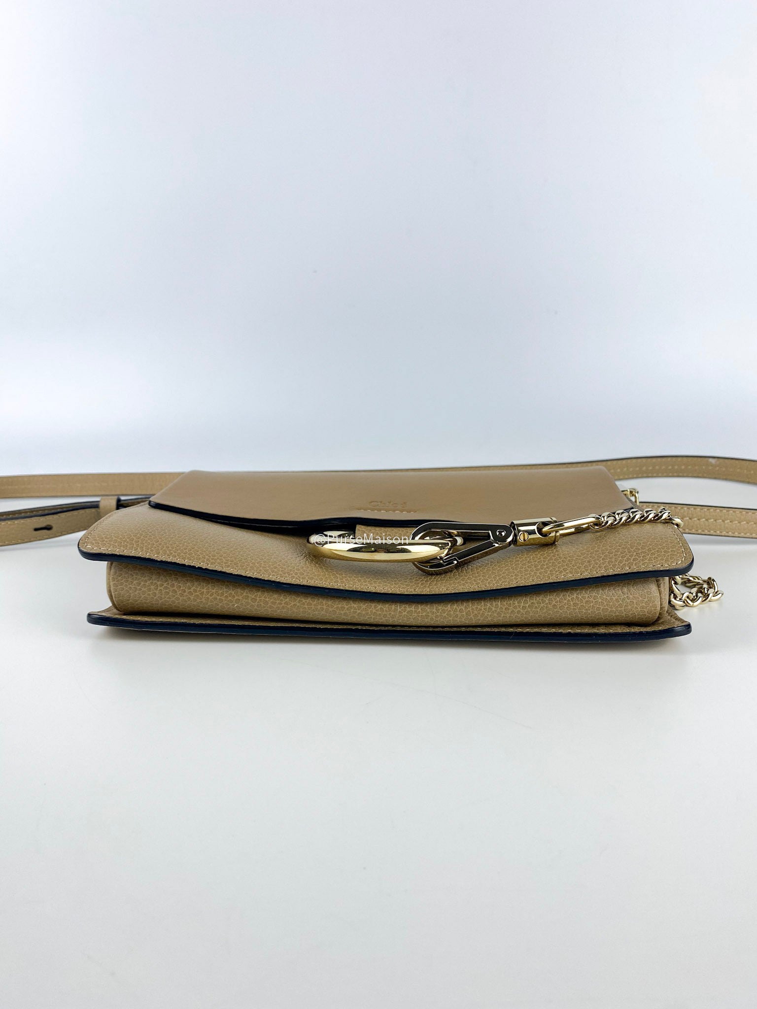 Chloe Faye Clutch Goatskin Leather Bag