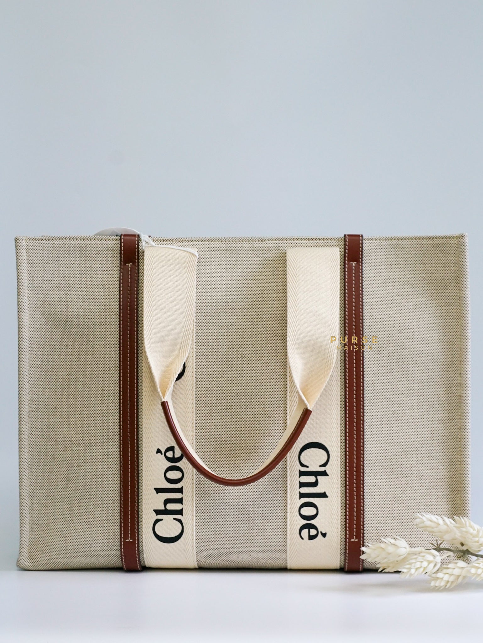 Chloe Woody Large Canvas Tote (White/Brown)