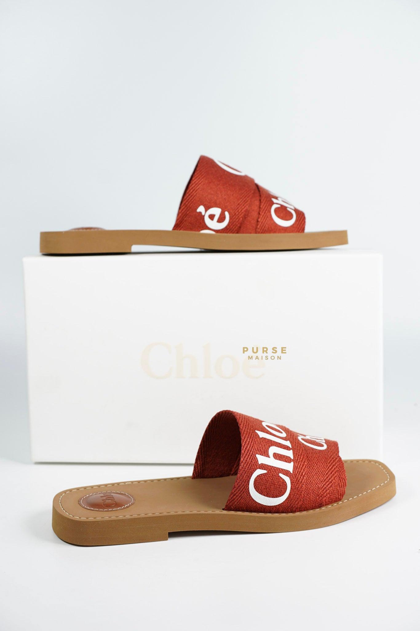 Chloe Woody Slides on Terracotta Red (Size 39 EUR, 25cm)